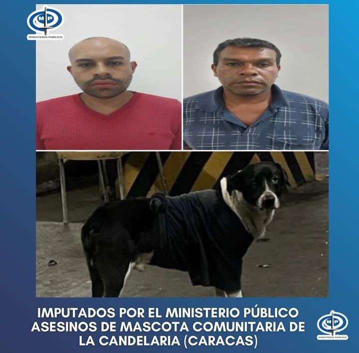 Hector José Gil Pérez y Hector Gil Linares (Padre e hijo) fueron imputados por el Ministerio Público por haber asesinado por placer con 2 disparos de escopeta a ' Gol', el perro de un estacionamiento ubicado en Parque Carabobo,La Candelaria,Caracas.
Ellos trabajaban en el lugar.