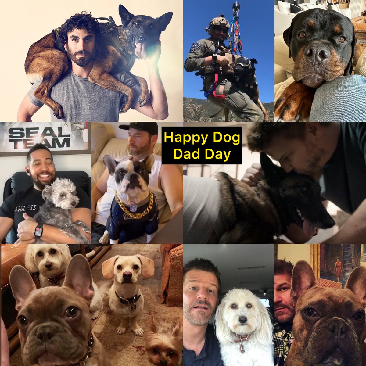 Happy National Dog Dad Day to our #SEALteam dog dads!!! #davidboreanaz #neilbrownjr #justinmelnick #scottfoxx