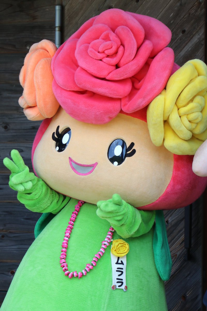 のほほん on Twitter