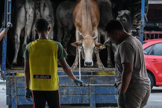 Mishi Aggarwal (@aggarwalmishi) on Twitter photo <a href="/narendramodi/">Narendra Modi</a> <a href="/PRupala/">Parshottam Rupala</a>
The horrors of livestock bill 2023 are unacceptable. #Saynotolivestockbill2023 <a href="/narendramodi/">Narendra Modi</a> <a href="/PRupala/">Parshottam Rupala</a>
The horrors of livestock bill 2023 are unacceptable. #Saynotolivestockbill2023