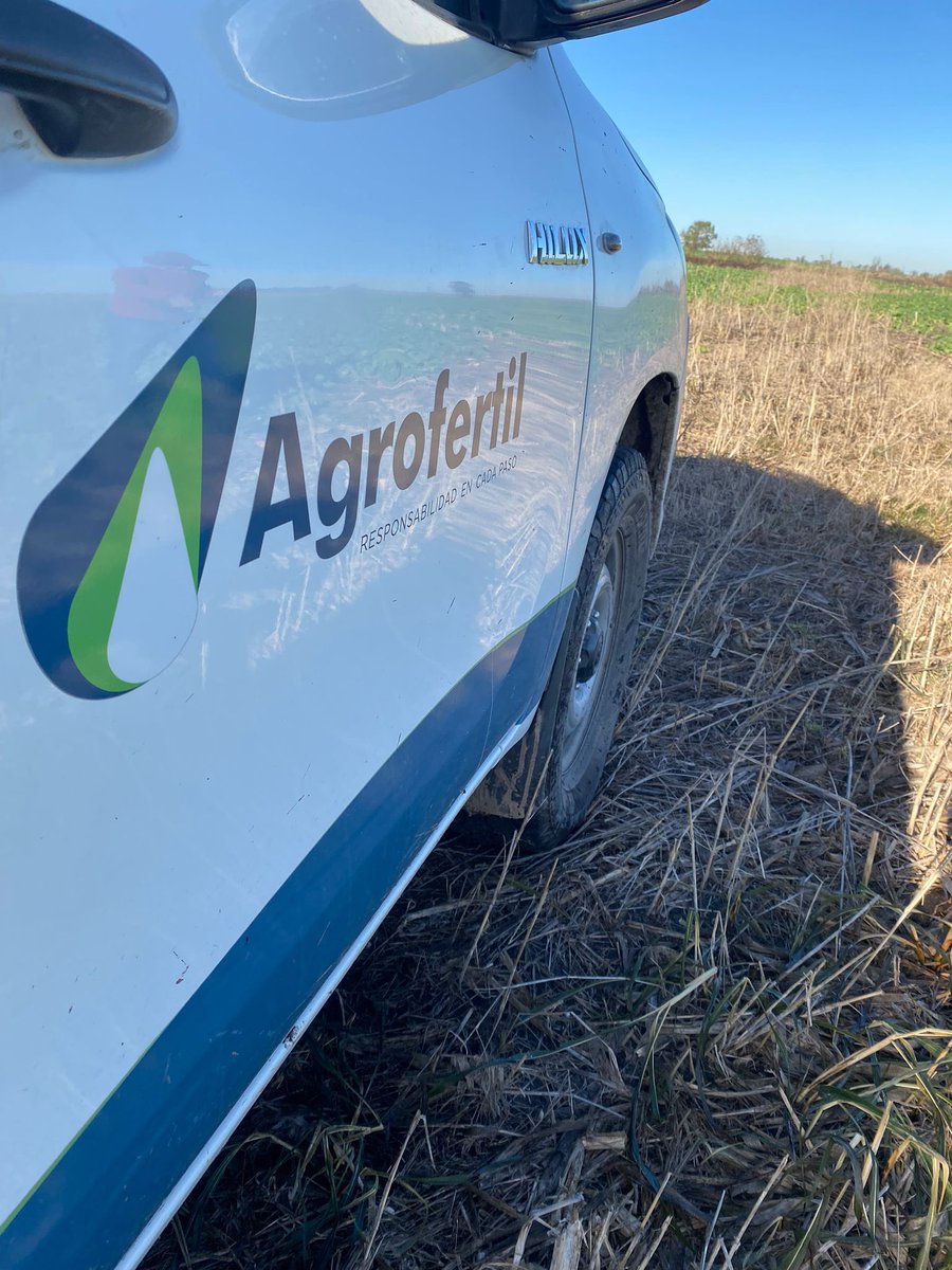 Realizando muestreo de planta #colza 💪🏻