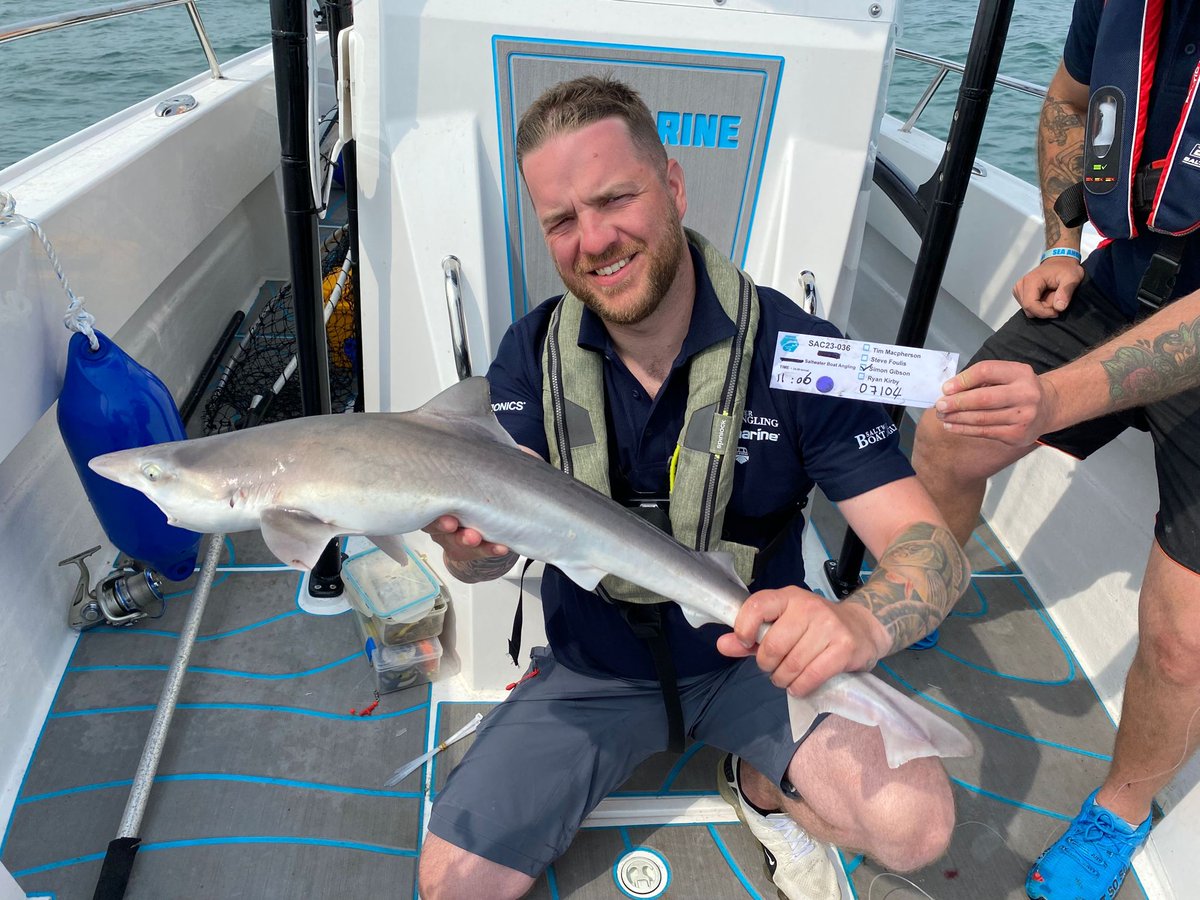 Saltwater Angling Media tweet media