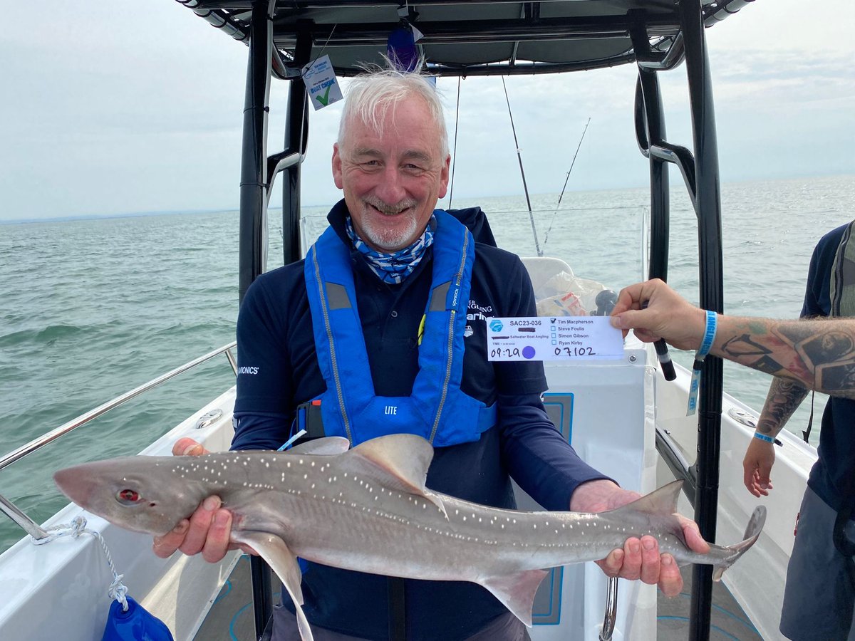 Saltwater Angling Media tweet media