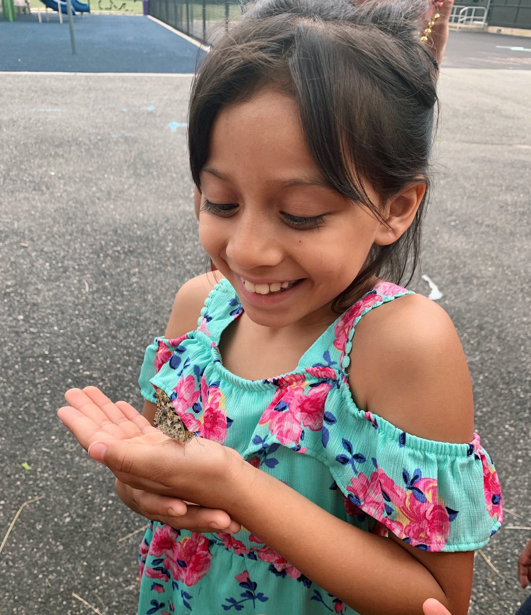 Jillian Bohnaker tweet media