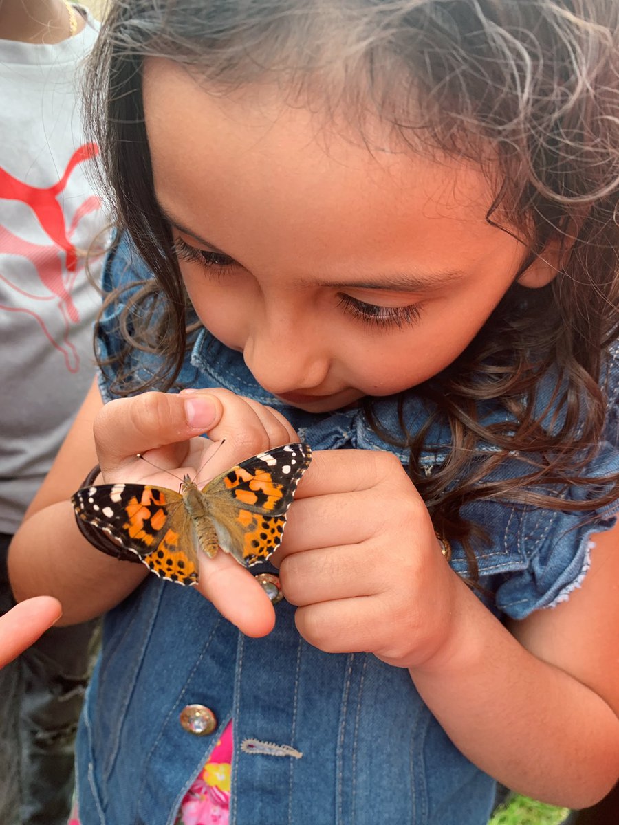 Jillian Bohnaker tweet media