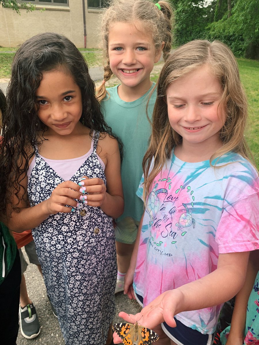 Jillian Bohnaker tweet media