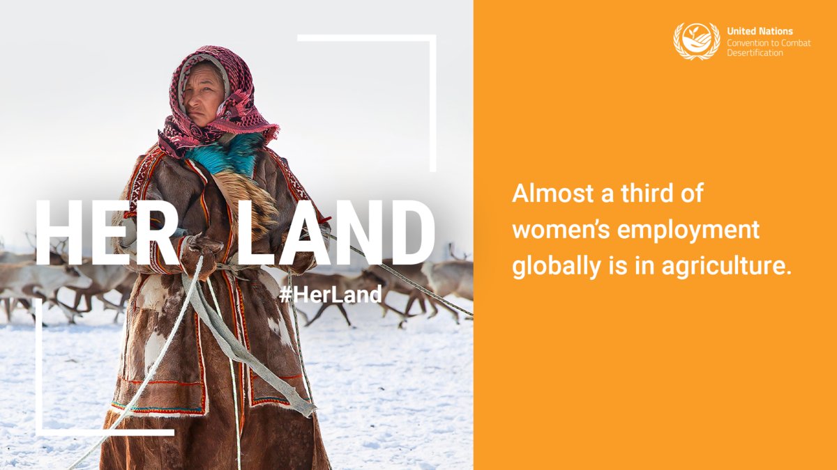 ZambeziImpact's tweet photo. 6/17 is International Day Against Desertification and Drought. Investing in women’s equal access to land is a direct investment in their future &amp; that of humanity. Women &amp; girls need to be at the forefront of global land restoration and drought resilience efforts #herland #UNCCD https://t.co/LK8mzfzNoy