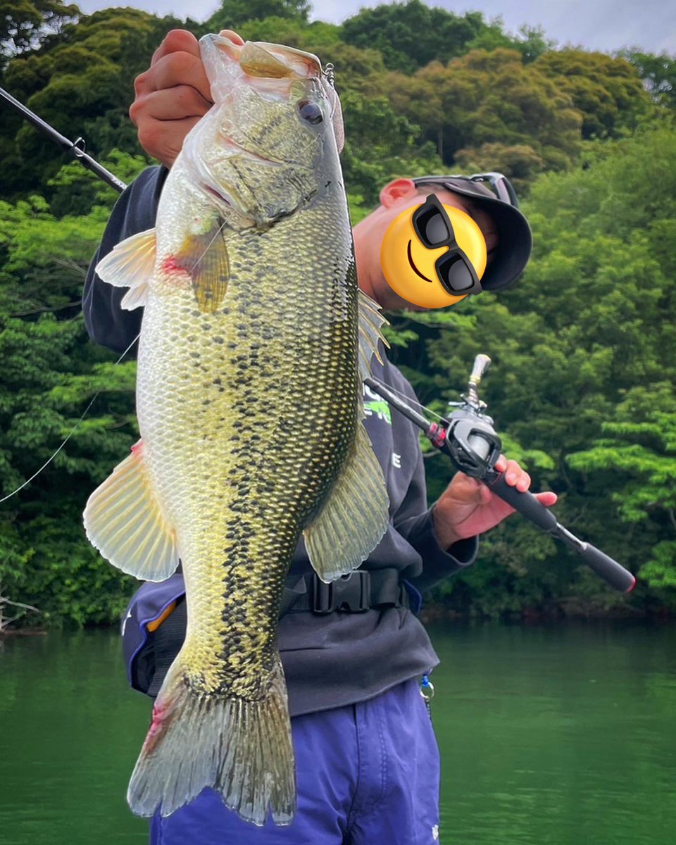 KESUUYU_'s tweet photo. 最近の琵琶湖優しい。 https://t.co/I3G3qk8wLQ