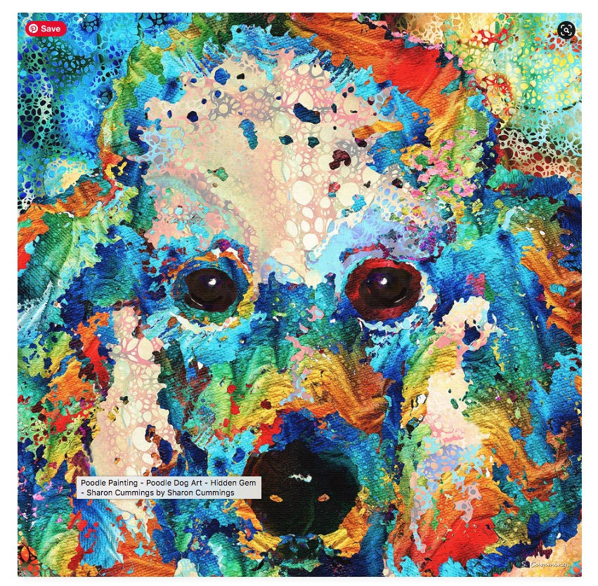 Colorful Poodle HERE:  fineartamerica.com/featured/poodl… #poodle #poodles #dog #dogs #dogmom #dogdad #doglife #doglover #doglovers #colorful #art #artwork #AYearForArt #BuyIntoArt #animals #fun #cute