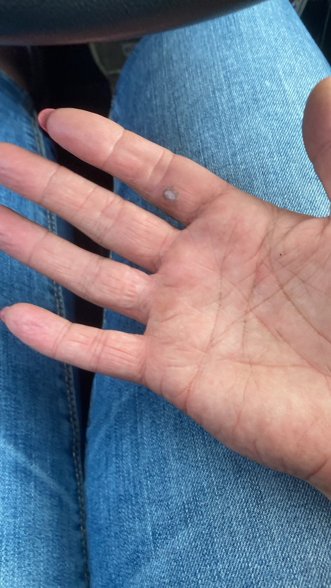 CEOMarije_M1's tweet photo. Tuurlijk knoopt mama even een touwbaan voor scouting🥴😂 #pionierblaren #hoppakee https://t.co/nsoPI0K6gT