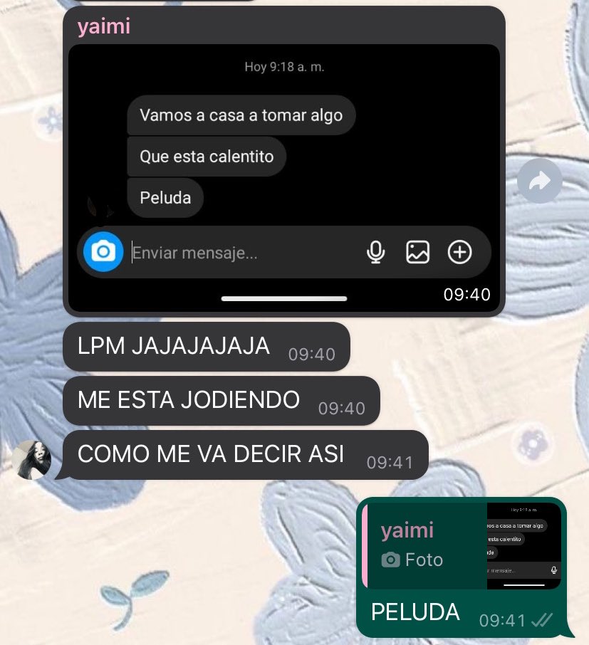 los tipos de pibes que se chamuya mi amiga ¿?¿?