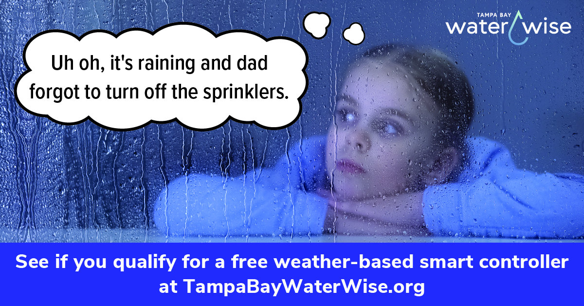 Pinellas County on Twitter "Summer rains are coming! Watering while it