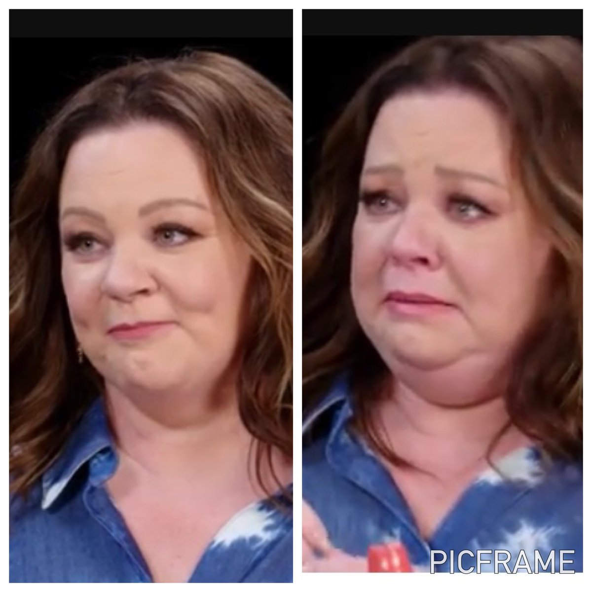 vote_planet's tweet photo. @firstwefeast @Complex @melissamccarthy @Diablo How it started vs how it’s going https://t.co/aj2kT6mABz