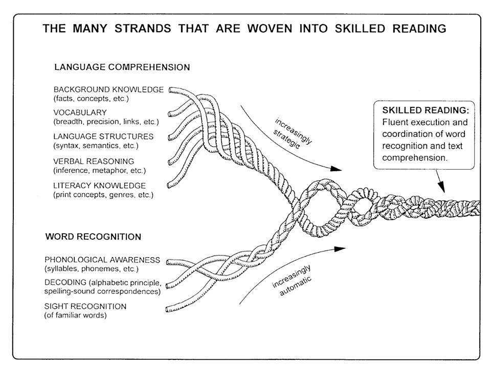 DrewSellitti's tweet photo. Not sure about the Science of Reading?  

I highly recommend the podcast Science of Reading by @Amplify.  

Season 3 is a comprehensive look at Scarborough's Reading Rope.  This reshaped how I look at teaching reading. https://t.co/hCw3NyKAaq