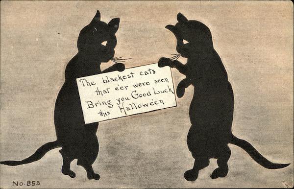 🐈‍⬛ 1913 Halloween greeting card 🎃

#Halloween #Caturday