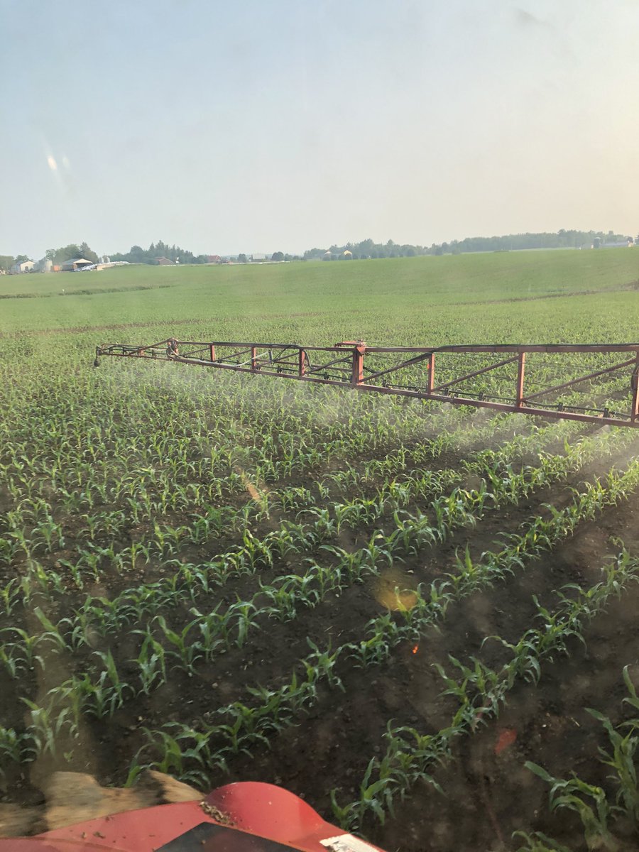 Great morning to kill some weeds