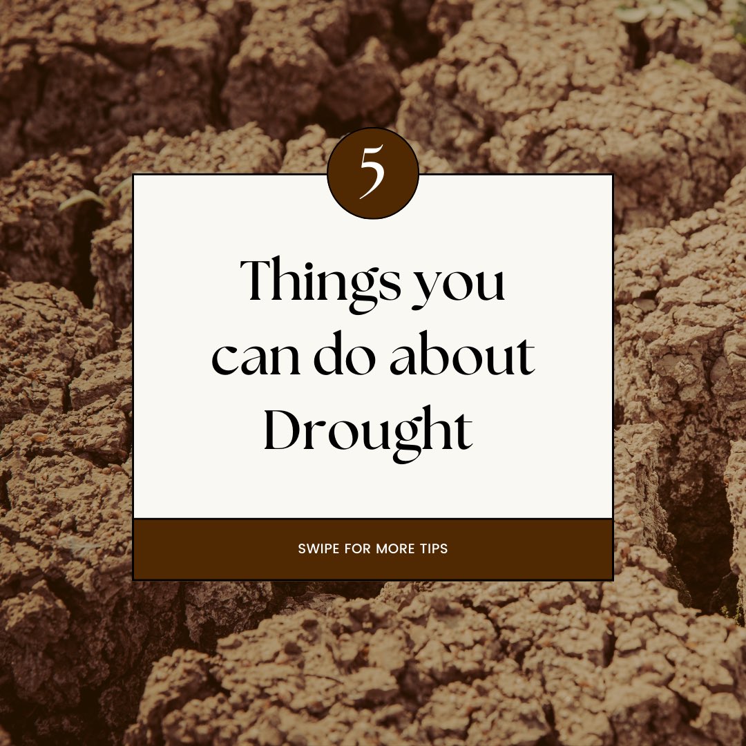 Did you know that #Drought has a huge impact on #Food security, #Economy, #Livelihood and #Ecosystem? 🌱🌍

Here are 5 things you can do #Today about #Drought 👇💚

#UNited4Land #Youth4Land #HerLand #LandLifeLegacy