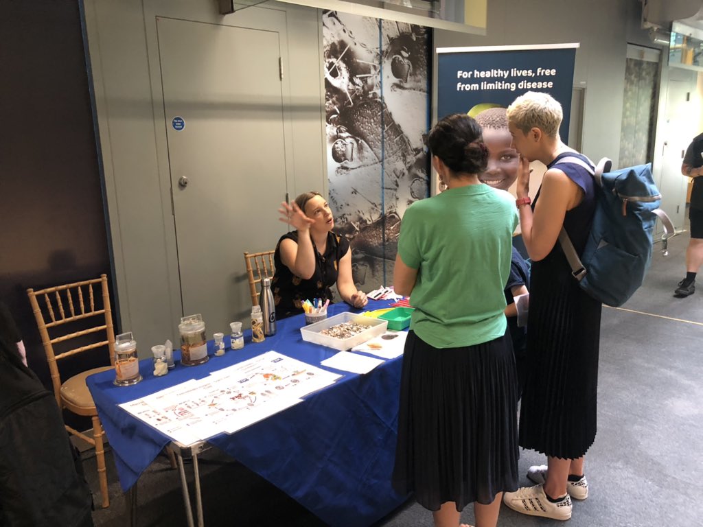 Our team presents their research on #schistosomiasis at @NHM_London @ExRdFestival together with @unlimit_health @fernanda_salesc @DanParsons__ @Adam_Ciep @ZBartonicek. Come and chat to us at the Spirit Collection!