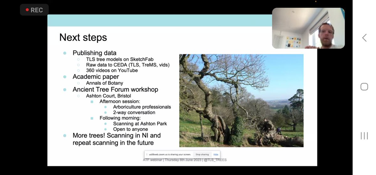 @TreePilgrim tweet media