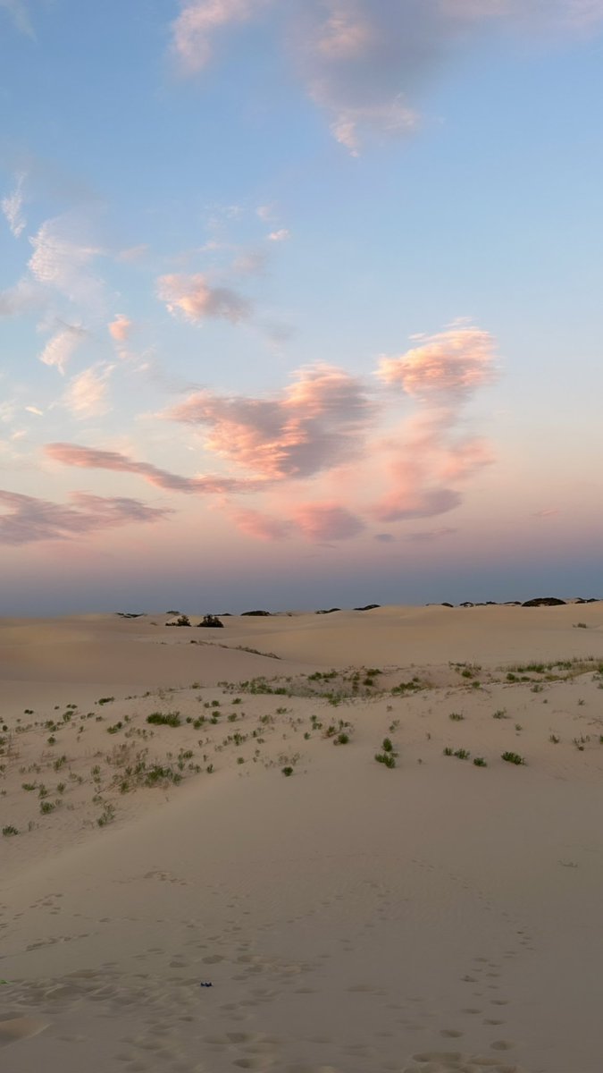adventuresofkel's tweet photo. ‘Softly the evening came with the sunset.’-Longfellow
#thenextgreatadventure #westtexas #texas #monahanssandhills #monahans #texasstateparks #lumix #lumixg9 #wherelumixgoes #lumixmoment #changingphotography #optoutside #adventureawaits #neverstopexploring #goldenhour #bebrave https://t.co/IJLRE0IZAY