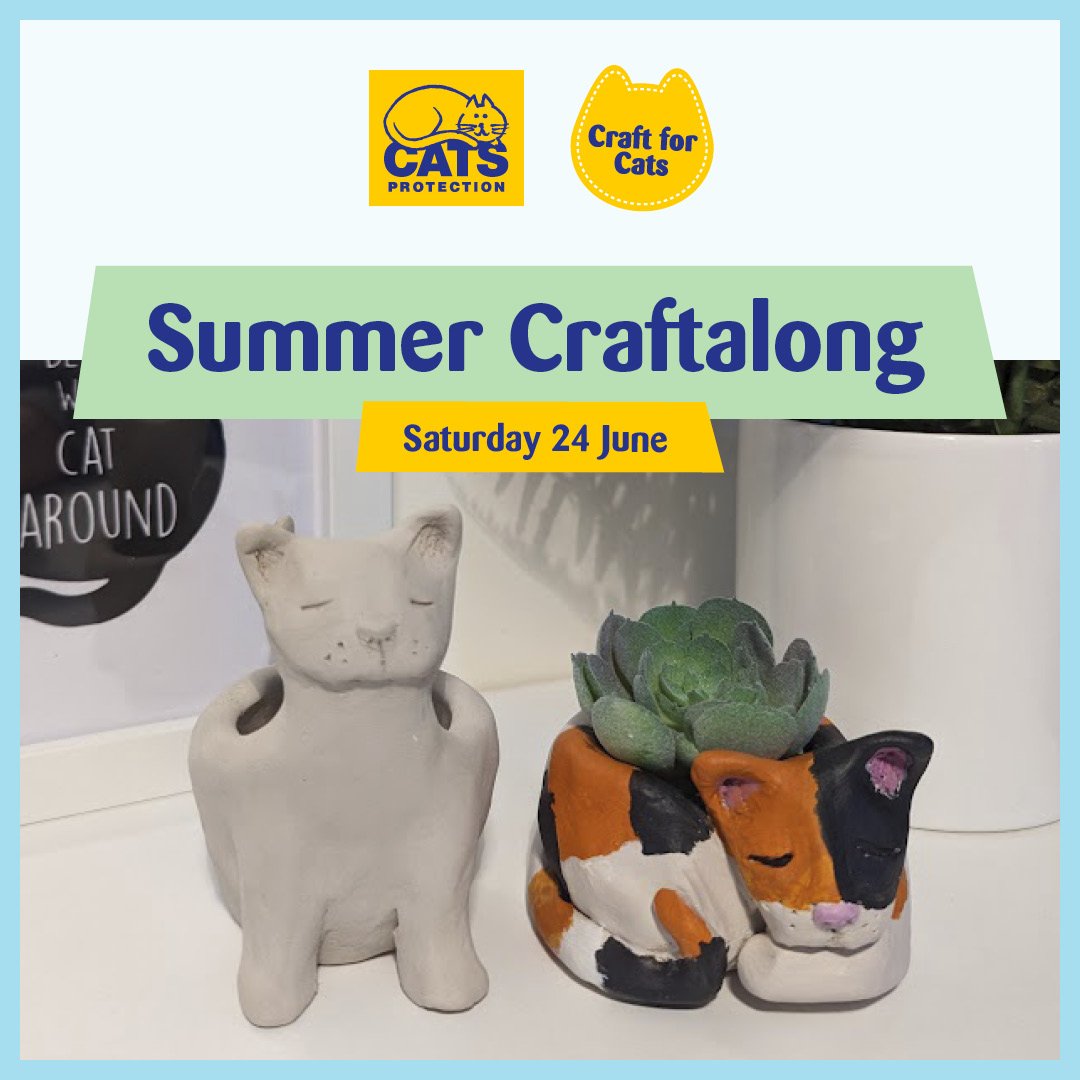 OUR SUMMER CRAFT-ALONG IS BACK! 🥳

Help our kitties in need and have fun sculpting your clay cat to your favourite moggy. 😻

➡️ Sign up here and click the Mid Sussex branch - cats.org.uk/summercraft

#craftforcats #craftastherapy #craftersgonnacraft #craftideas #catlovers