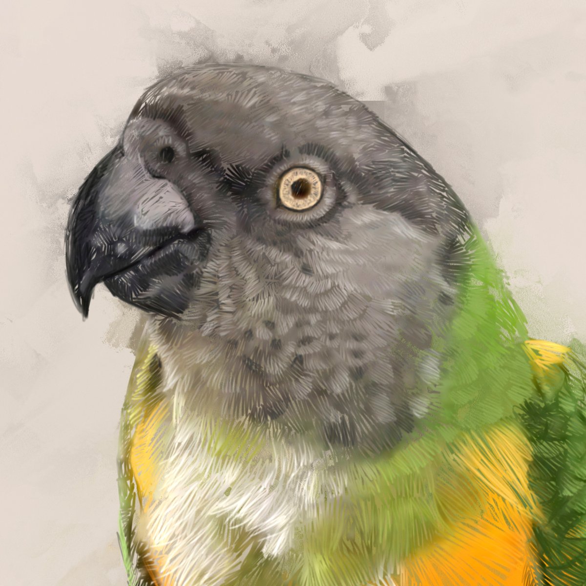Hilltop_Pixel's tweet photo. Custom Bird Portrait, Beautiful Pet Artwork Canvas, Personalized Senegal Parrot Animal Wall Art Gift
#bird #birdportrait #birdart #birdartwork #custombirdart #custombirdartwork #petportrait #petportrait #birdartist #parrot 
https://t.co/oh0mF0QBAa https://t.co/tgfkfteTgV