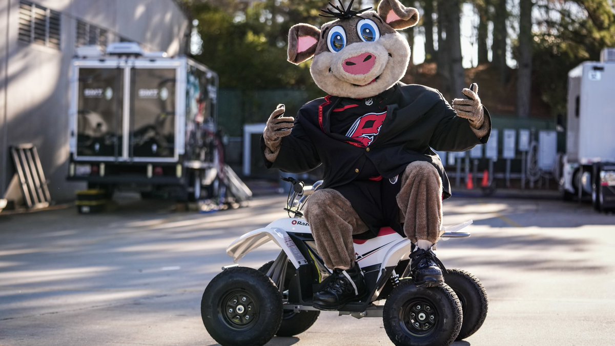 Canes's tweet photo. Happy National Mascot Day to the best!

Go hog wild today, @NHLStormy 🫶 https://t.co/3jjOyDgjRl