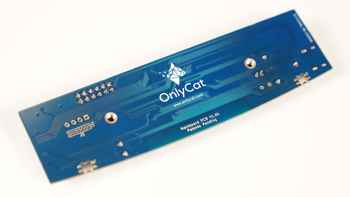 OnlyCatAI tweet media