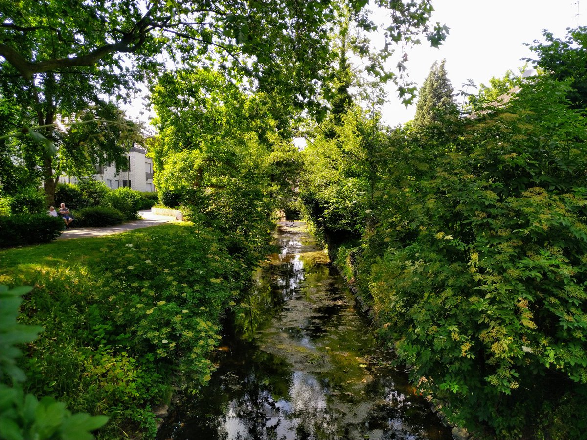 fotoaufnahme's tweet image. Guten Morgen und einen wunderschönen Tag. Der #Rotbach in Dinslaken fließt noch ein wenig. Das Buschwerk schützt vor allzu schneller Verdunstung. Vielleicht wird das Gewässer in wenigen Tagen aufgefüllt.