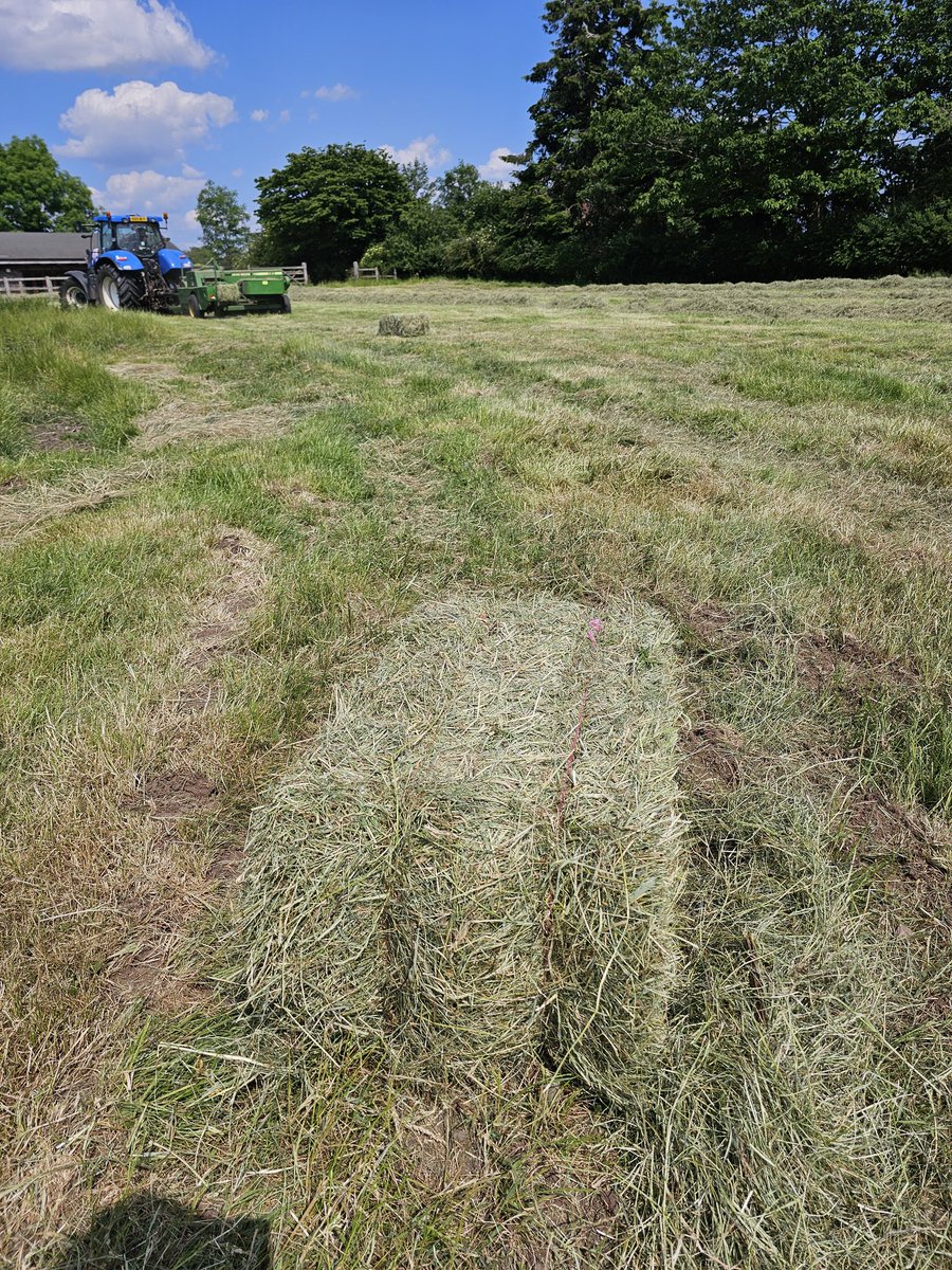 muirtwit's tweet photo. #SaturdayWin hay baled yesterday, 300 bales in by 0915, rain at 0930 #winning @LCMuir https://t.co/qGtmQ951ba