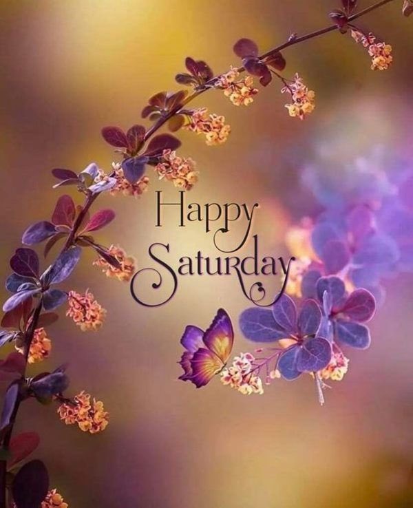 Weekends these days can be a busy time filled with chores. 

Taking a moment to stop and breath. Enjoying some of the smallest things in life can be the best of self care.