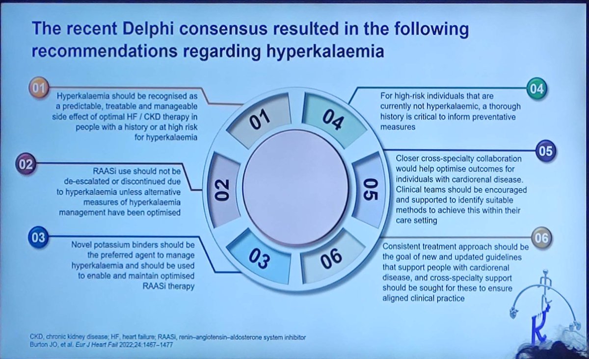 Continuing lifesaving therapy in the cardiorenal patient, Delphi consensus best practice recommendations regarding hyperkalaemia at #ERA23.

Burton JO, et al. Eur J Heart Fail. 2022;24(9):1467-1477.
