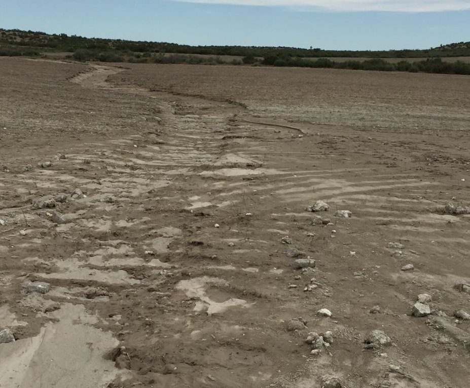 AGRACONolaboreo's tweet photo. 📆 Hoy celebramos el Dia Mundial de Lucha contra la Desertificación y la Sequía
🪱Es un dia para reivindicar la A. Conservación como herramienta para la revertir la degradación de los suelos.
🧑‍🌾Cada dia más agricultores cambian los manejos de gestión de suelos en su explotación. https://t.co/vwKf4WffV4