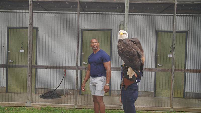 laughingplace's tweet photo. Christian Cooper turns a bad situation into a good one with #ExtraordinaryBirder, a show that proves that anyone, anywhere can enjoy his favorite relaxing hobby. Learn more about this @NatGeoWILD series in our coverage from #TCA23 https://t.co/vGhGhqUcSj https://t.co/au7rvzJMi1