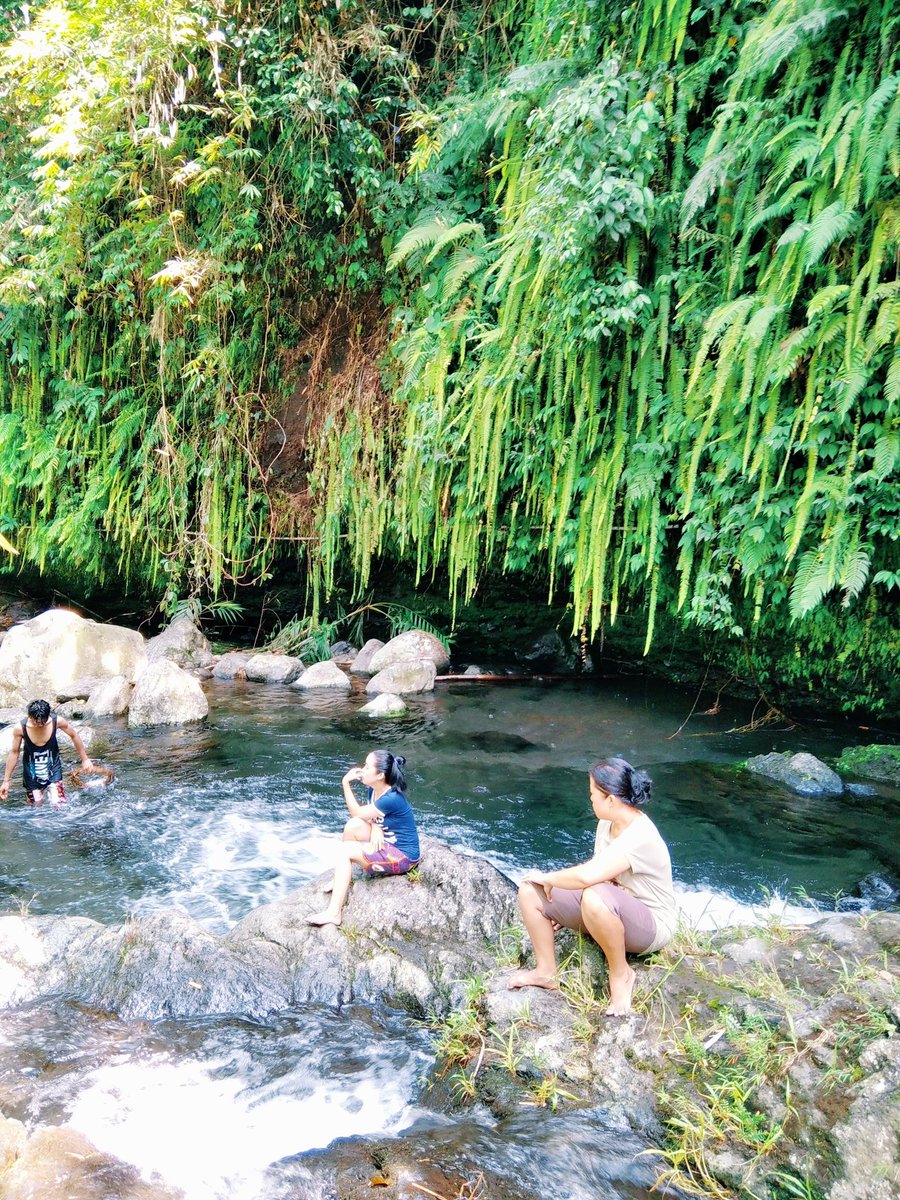 areapbg's tweet image. Air mengalir sampai jauh..
Duh segarnya air sungai deras jernih dan asri
📍desa candiwulan, Kutasari
Purbalingga.
#nature #centraljava #jawatengah
#purbalingga #Indonesia #wisataalampurbalingga #dolanjateng #travelling