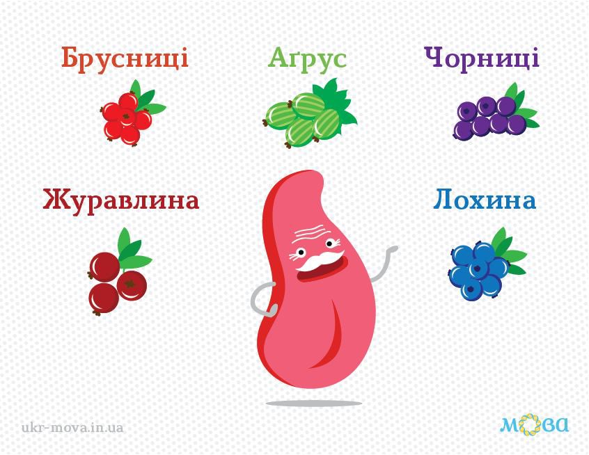 Кому ще ягід? 🫐
ukr-mova.in.ua

Запам’ятайте: 

▪️ брусни́ці (рос. «брусника»), 
▪️ чорни́ці (рос. «черника»), 
▪️ журавли́на (рос. «клюква»), 
▪️ лохи́на (рос. «голубика»), 
▪️ а́ґрус (рос. «крыжовник»).