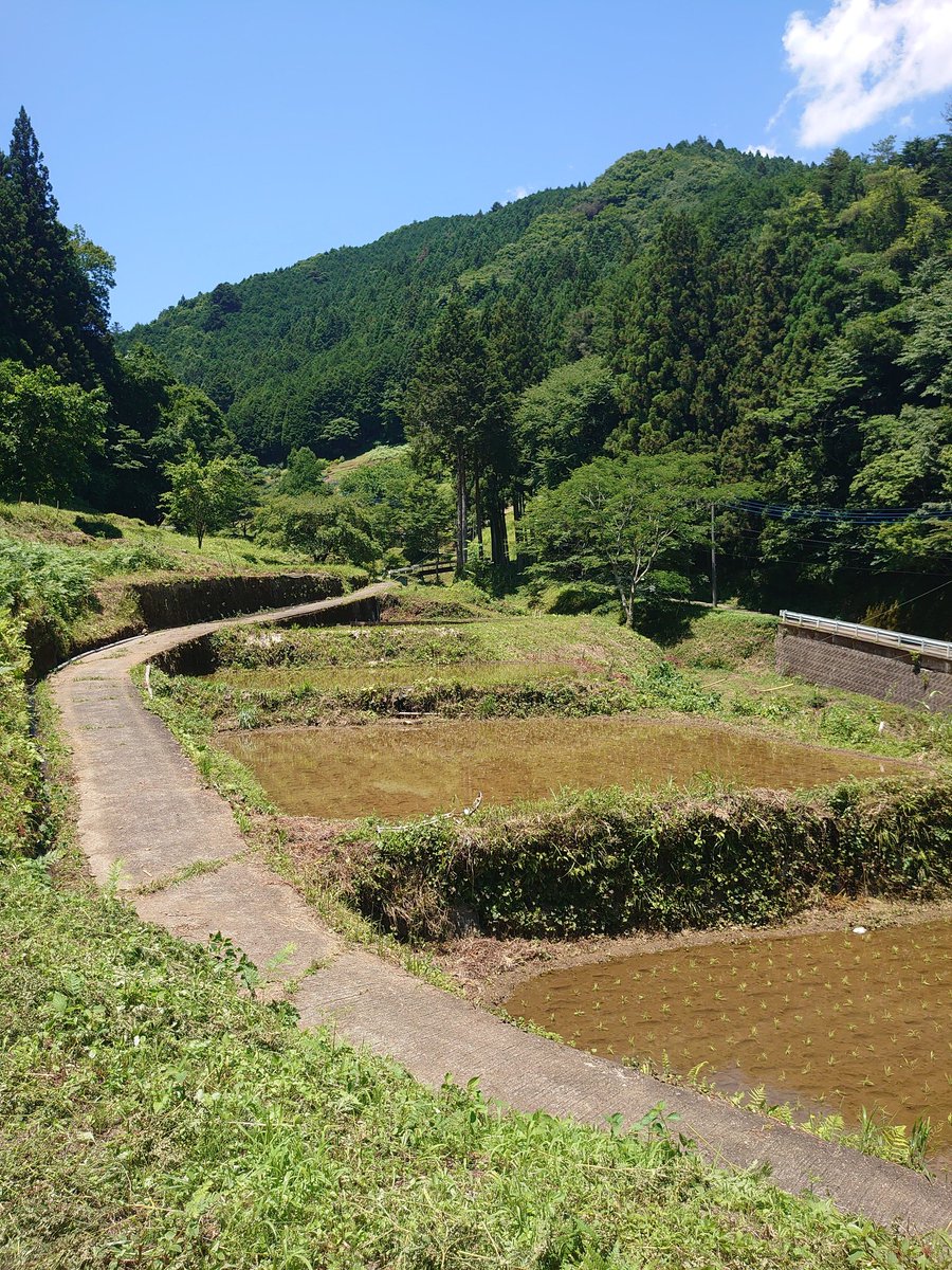 yuripuIBD's tweet photo. 田舎最高癒し https://t.co/rliTvymQv3