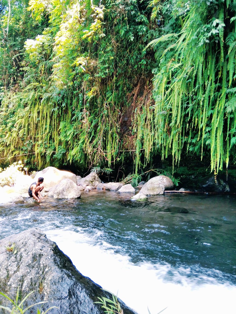 areapbg's tweet image. Air mengalir sampai jauh..
Duh segarnya air sungai deras jernih dan asri
📍desa candiwulan, Kutasari
Purbalingga.
#nature #centraljava #jawatengah
#purbalingga #Indonesia #wisataalampurbalingga #dolanjateng #travelling