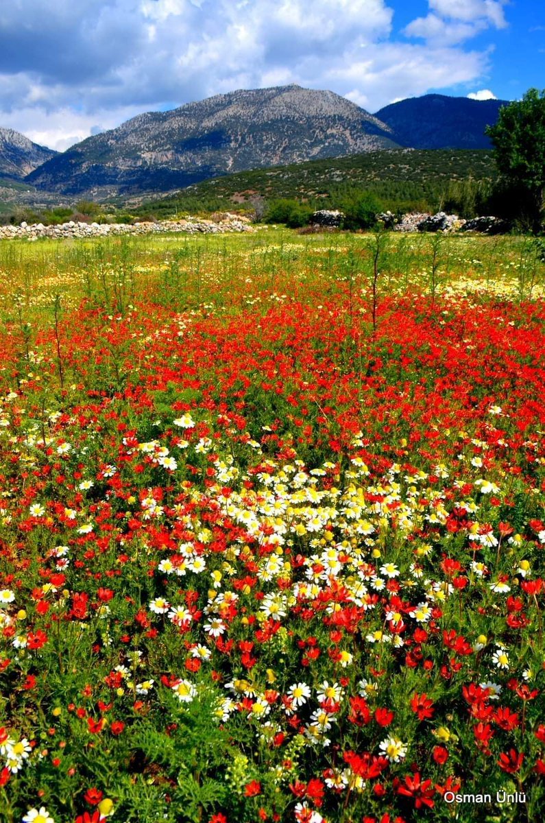 Good Morning...🌞🌱⛰️🌷Happy Saturday...🌹🌻☕ 📸 :Eseler🇹🇷O. Ünlü
#SaturdayVibes #HappyWeekend #CoffeeTime  #Blessings
#SaturdayMotivaton  #Blessings #PeaceGood #Peace #StaySafe  
#goodmorning #Καλημέρα
#bonjour #SaturdayGoodmorning #GoodMorningEveryone  
#Buongiorno #BuenosDias