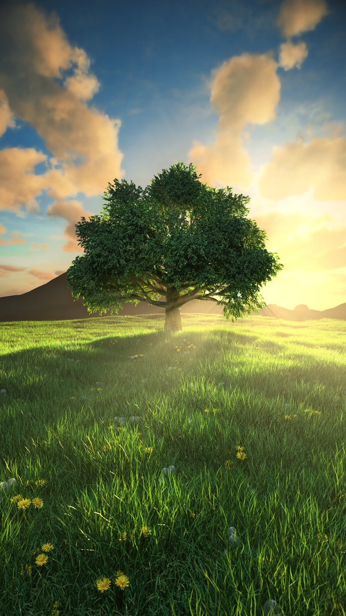 📚•٠Micol Manzo٠•📘 tweet media