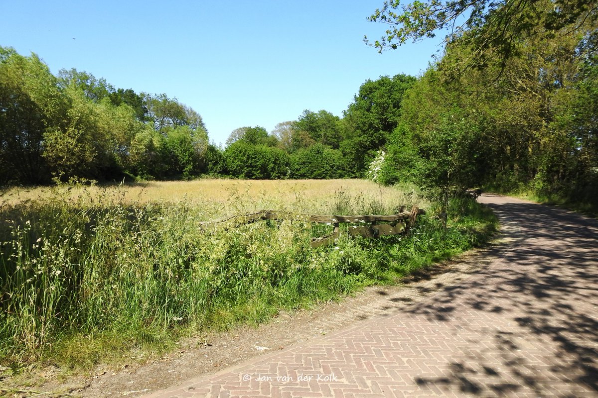 Bekiek Twente tweet media