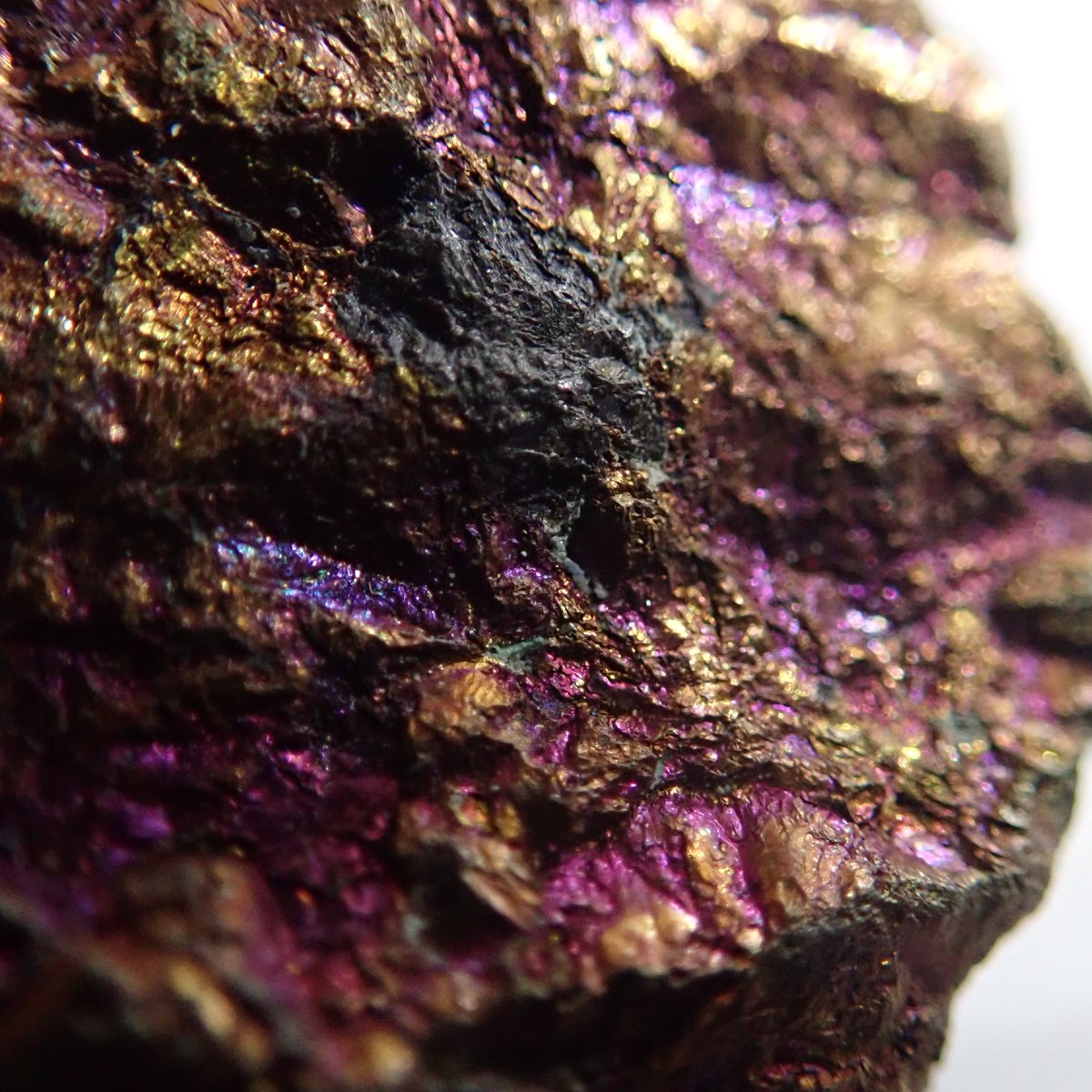PhilipMRussell1's tweet photo. Behold #PeacockOre – a dazzling delight of nature. The colours dance &amp; shift as you move it around. It's a beautiful blend of copper &amp; iron sulfides, chemically Cu5FeS4. Easily one of the most enchanting ores out there. #Minerals #Geology https://t.co/Ghe0ySrP3V