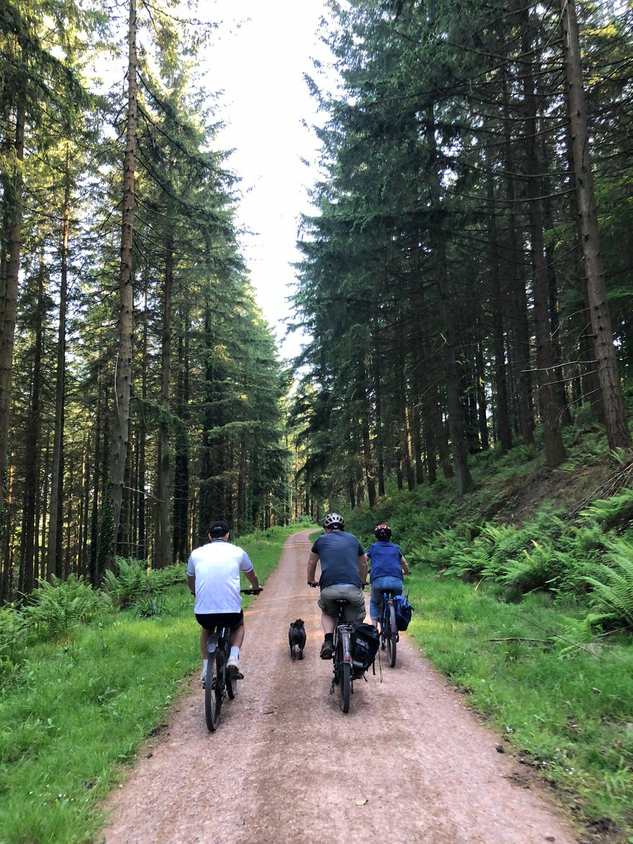 Forest of Dean us a great place to cycle- from easy forestry tracks and old railway lines to steep single tracks for the mountain bikers.
#cycling 
#mountainbiking
#forestofdean