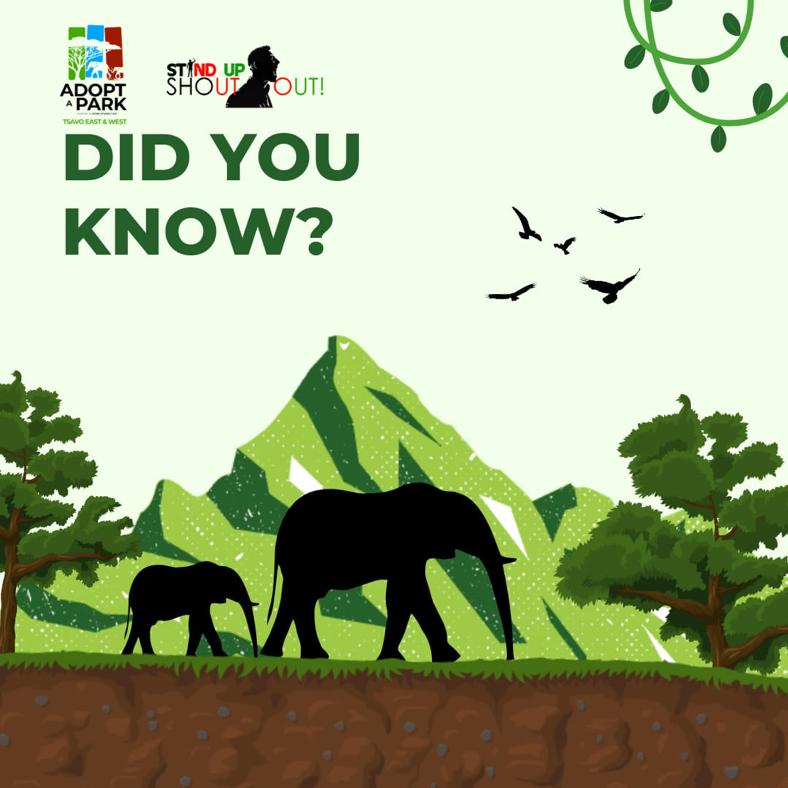 SUSOyouth's tweet photo. MAGHALUKO NI ISI (change ni sisi)
Did you know? Tsavo West National Park was established in April 1948 alongside Tsavo East National Park. #Adoptapark #elephantambassadors #DecadeOfNoReturn #yourvoicematters https://t.co/KgihJUa0rj