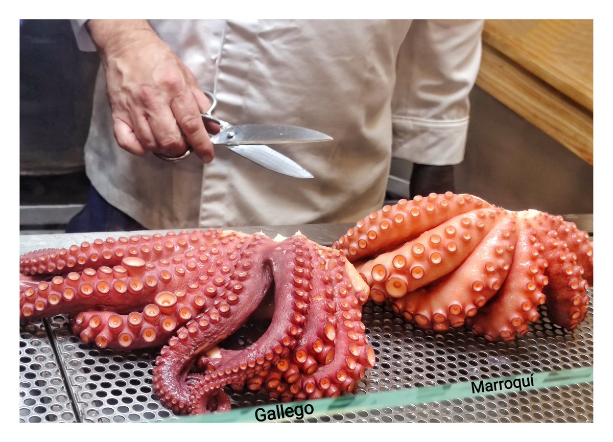 J_Caamano's tweet photo. @tiziacue @pulpopasion @Nacho_Sandoval @PagosdelRey Ni lo dudes Leticia . En Gijón también encontrarás excelentes locales participantes de @pulpopasion .
@Nacho_Sandoval
#PacoGomez Chef
@Ale_Caamano https://t.co/JqNXCmZotP