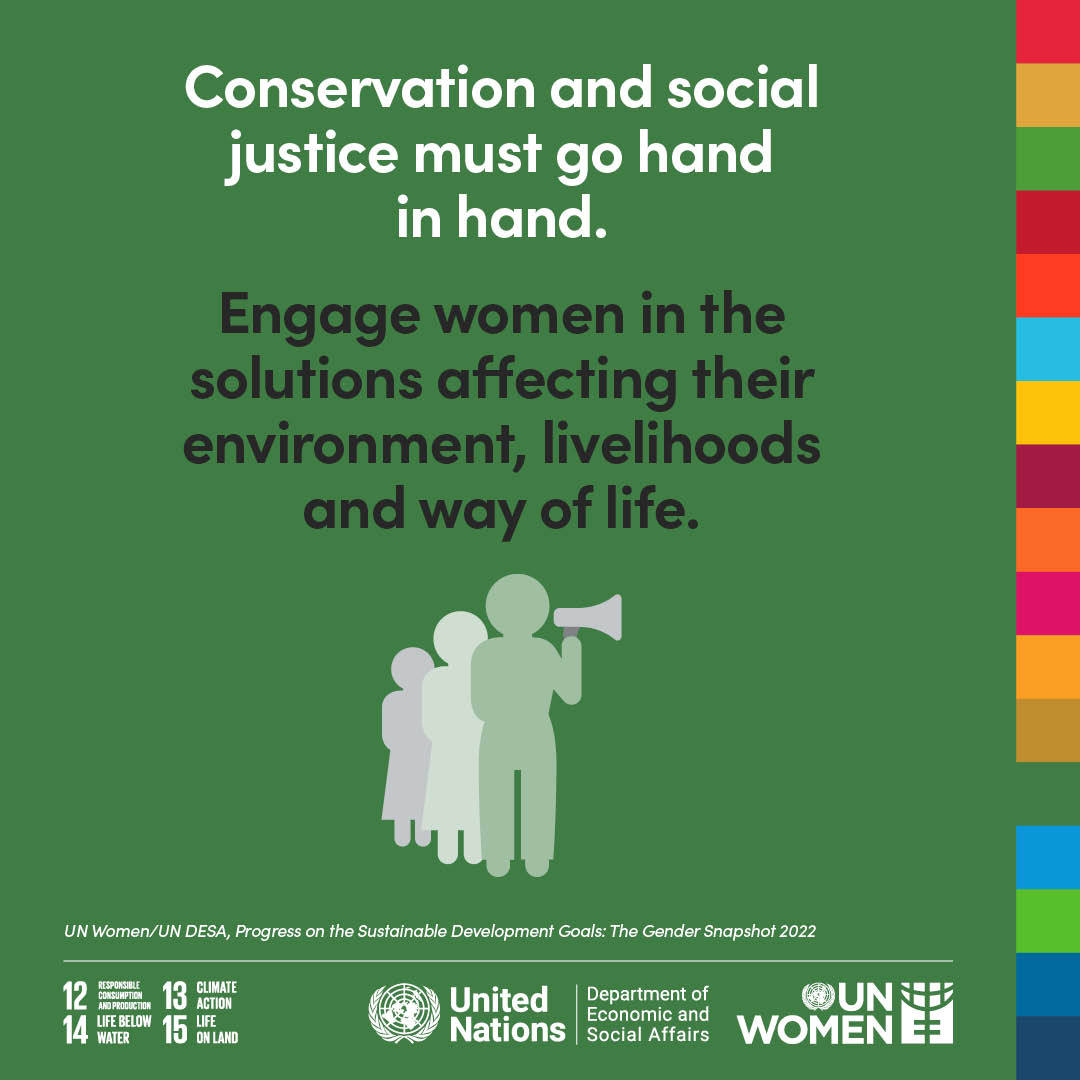 UN Women tweet media