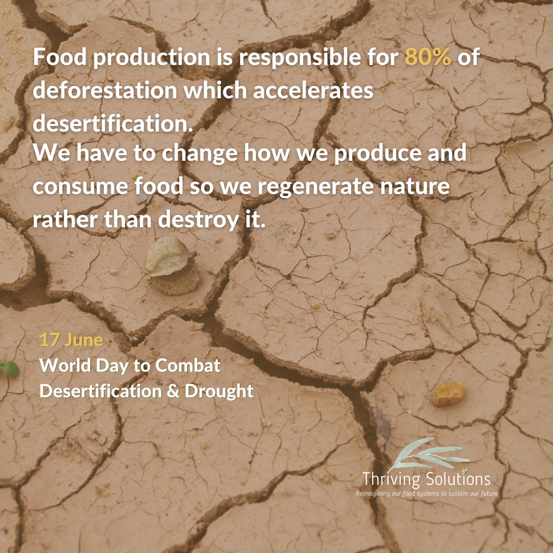 Thriving Solutions is dedicated to decarbonizing our economy, safeguarding biodiversity, advancing food-nutrition-water security
#SDG #circularfoodsystems
