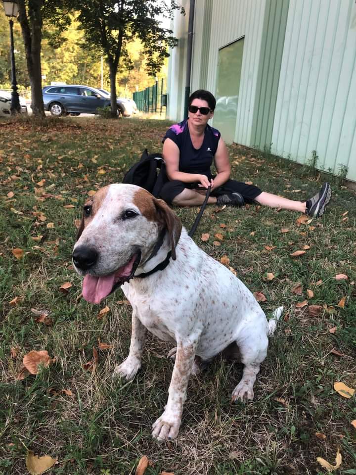 @courbet_julien Et si vous ne pouvez pas avoir un chien, faites du bénévolat, je viens de promener un chien de chasse 3h30 dans un refuge, que du bonheur