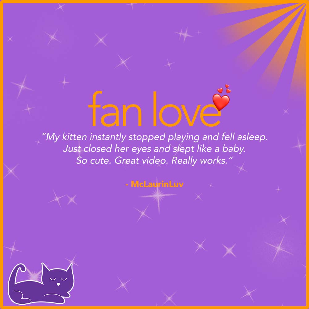 Today's featured comment 😀

Drop us a comment at youtube.com/relaxmycat for a chance to be featured on #FanLove❤️