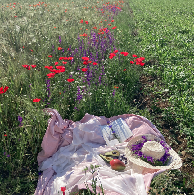 Picnicking is one of the UK’s most enjoyable summer traditions, and is a great way to get outside with your friends and family. Its national picnic week so get  into the great outdoors #nationalpicnicweek #freshair #parks #summer #treats #family #friends @picnicweek